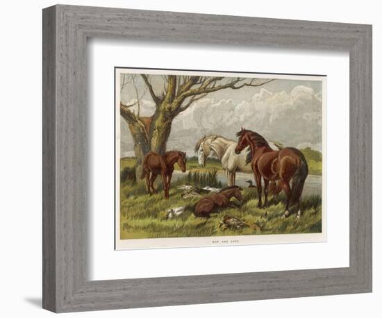 Horses in a Field-null-Framed Art Print