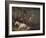 'Horses in a Stable', 1791-George Morland-Framed Giclee Print