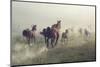 Horses in Dust-conrado-Mounted Photographic Print