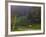 Horses in Field, Near Grandville, Vermont, USA-Joe Restuccia III-Framed Photographic Print