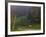 Horses in Field, Near Grandville, Vermont, USA-Joe Restuccia III-Framed Photographic Print