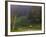 Horses in Field, Near Grandville, Vermont, USA-Joe Restuccia III-Framed Photographic Print