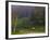 Horses in Field, Near Grandville, Vermont, USA-Joe Restuccia III-Framed Photographic Print