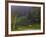 Horses in Field, Near Grandville, Vermont, USA-Joe Restuccia III-Framed Photographic Print