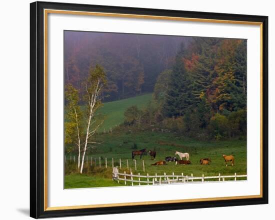 Horses in Field, Near Grandville, Vermont, USA-Joe Restuccia III-Framed Photographic Print