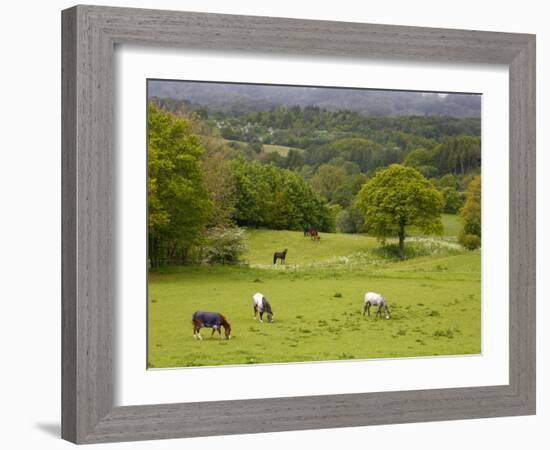 Horses in Field Near Vejle, Jutland, Denmark, Scandinavia, Europe-Yadid Levy-Framed Photographic Print