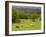 Horses in Field Near Vejle, Jutland, Denmark, Scandinavia, Europe-Yadid Levy-Framed Photographic Print