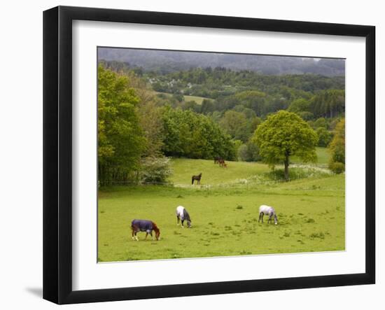 Horses in Field Near Vejle, Jutland, Denmark, Scandinavia, Europe-Yadid Levy-Framed Photographic Print