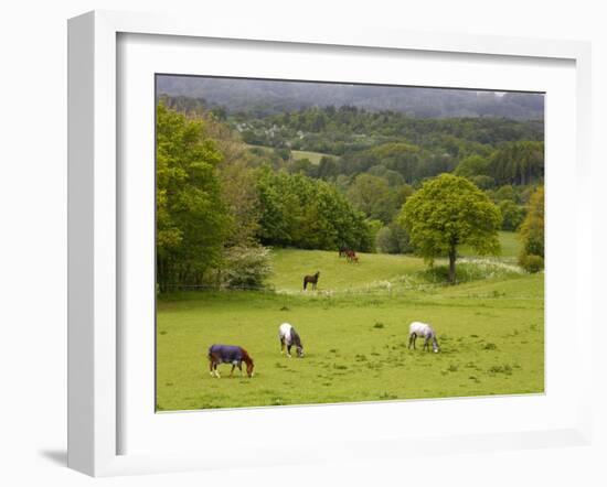 Horses in Field Near Vejle, Jutland, Denmark, Scandinavia, Europe-Yadid Levy-Framed Photographic Print