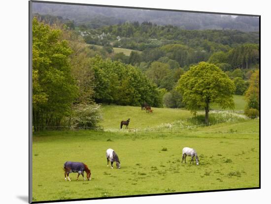 Horses in Field Near Vejle, Jutland, Denmark, Scandinavia, Europe-Yadid Levy-Mounted Photographic Print