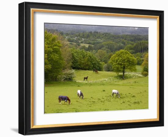 Horses in Field Near Vejle, Jutland, Denmark, Scandinavia, Europe-Yadid Levy-Framed Photographic Print