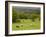 Horses in Field Near Vejle, Jutland, Denmark, Scandinavia, Europe-Yadid Levy-Framed Photographic Print