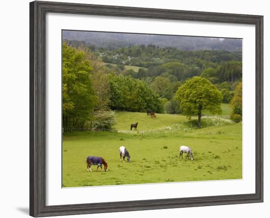 Horses in Field Near Vejle, Jutland, Denmark, Scandinavia, Europe-Yadid Levy-Framed Photographic Print