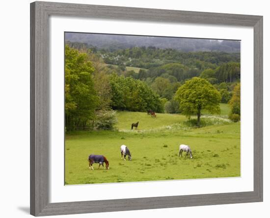 Horses in Field Near Vejle, Jutland, Denmark, Scandinavia, Europe-Yadid Levy-Framed Photographic Print