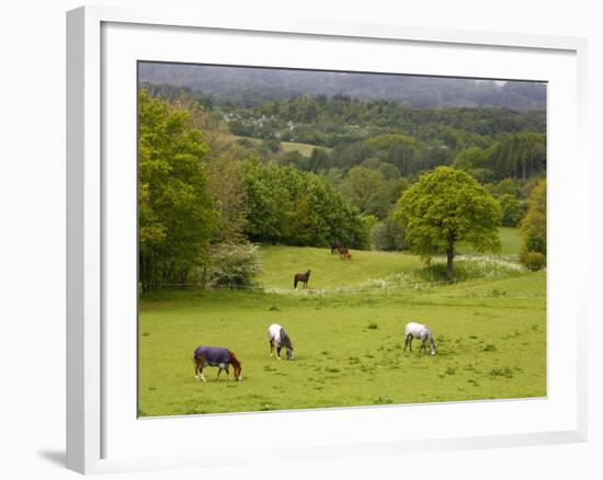 Horses in Field Near Vejle, Jutland, Denmark, Scandinavia, Europe-Yadid Levy-Framed Photographic Print