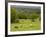 Horses in Field Near Vejle, Jutland, Denmark, Scandinavia, Europe-Yadid Levy-Framed Photographic Print