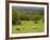 Horses in Field Near Vejle, Jutland, Denmark, Scandinavia, Europe-Yadid Levy-Framed Photographic Print