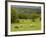 Horses in Field Near Vejle, Jutland, Denmark, Scandinavia, Europe-Yadid Levy-Framed Photographic Print