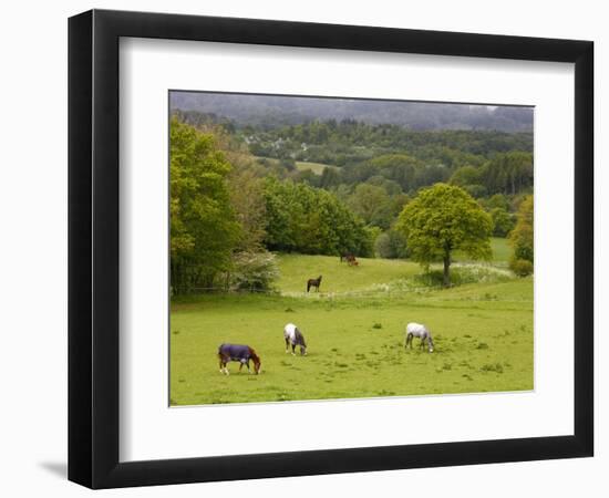 Horses in Field Near Vejle, Jutland, Denmark, Scandinavia, Europe-Yadid Levy-Framed Premium Photographic Print