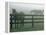 Horses in Fog, Chesapeake City, MD-Henry Horenstein-Framed Premier Image Canvas