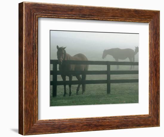 Horses in Fog, Chesapeake City, MD-Henry Horenstein-Framed Photographic Print