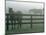 Horses in Fog, Chesapeake City, MD-Henry Horenstein-Mounted Photographic Print