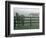 Horses in Fog, Chesapeake City, MD-Henry Horenstein-Framed Photographic Print