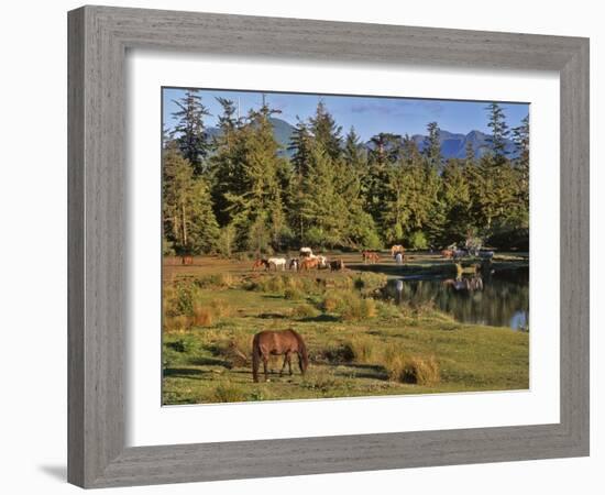 Horses in Meadow-Steve Terrill-Framed Photographic Print
