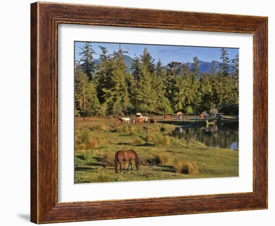 Horses in Meadow-Steve Terrill-Framed Photographic Print