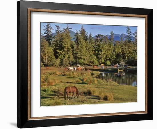 Horses in Meadow-Steve Terrill-Framed Photographic Print