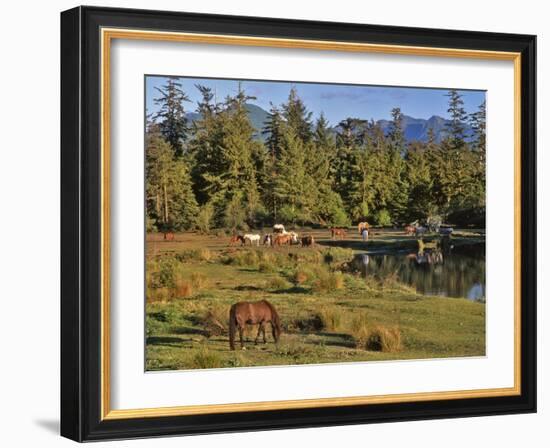 Horses in Meadow-Steve Terrill-Framed Photographic Print