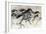 Horses in Motion I-Tim O'toole-Framed Art Print