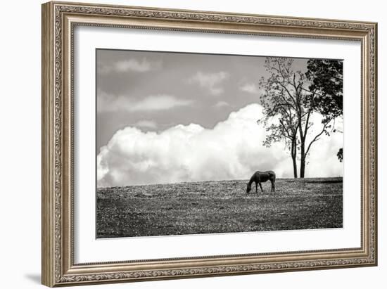 Horses in the Clouds II BW-Alan Hausenflock-Framed Photographic Print