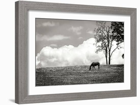 Horses in the Clouds II BW-Alan Hausenflock-Framed Photographic Print