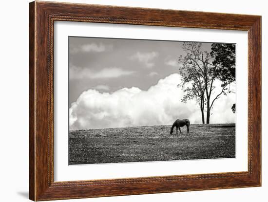 Horses in the Clouds II BW-Alan Hausenflock-Framed Photographic Print