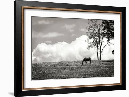 Horses in the Clouds II BW-Alan Hausenflock-Framed Photographic Print