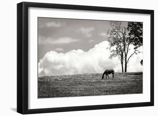 Horses in the Clouds II BW-Alan Hausenflock-Framed Photographic Print