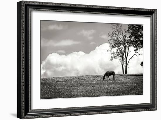 Horses in the Clouds II BW-Alan Hausenflock-Framed Photographic Print