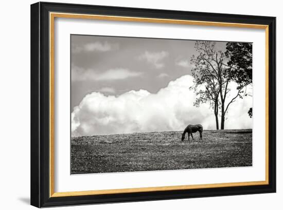 Horses in the Clouds II BW-Alan Hausenflock-Framed Photographic Print