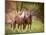 Horses in the Field I-Ozana Sturgeon-Mounted Photographic Print