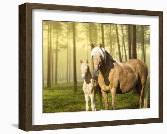 Horses in the Field II-Ozana Sturgeon-Framed Photographic Print