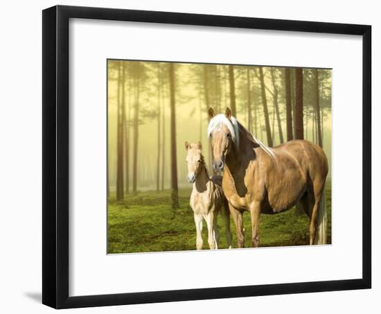 Horses in the Field II-Ozana Sturgeon-Framed Photographic Print