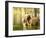 Horses in the Field II-Ozana Sturgeon-Framed Photographic Print