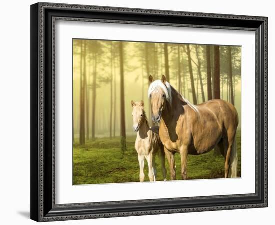 Horses in the Field II-Ozana Sturgeon-Framed Photographic Print