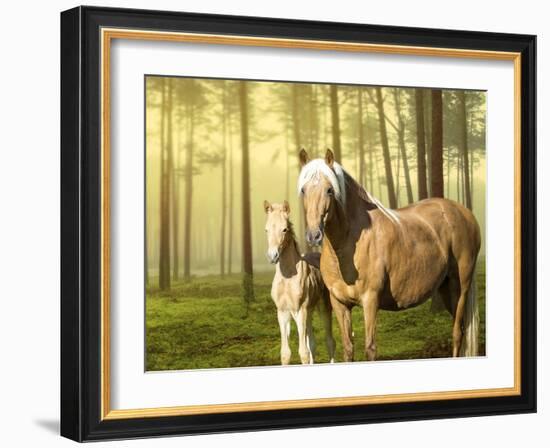 Horses in the Field II-Ozana Sturgeon-Framed Photographic Print