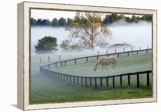 Horses in the Mist #3, Kentucky ‘08-Monte Nagler-Framed Premier Image Canvas