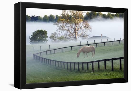 Horses in the Mist #3, Kentucky ‘08-Monte Nagler-Framed Premier Image Canvas