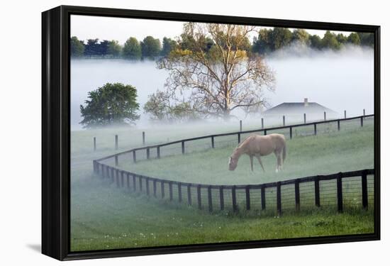 Horses in the Mist #3, Kentucky ‘08-Monte Nagler-Framed Premier Image Canvas