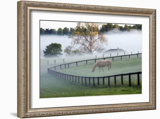 Horses in the Mist #3, Kentucky ‘08-Monte Nagler-Framed Photographic Print