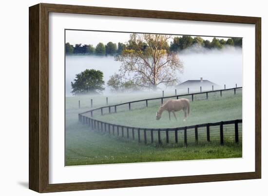 Horses in the Mist #3, Kentucky ‘08-Monte Nagler-Framed Photographic Print